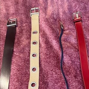 Set of Four Stylish Belts in Red, Brown, Beige, and Blue